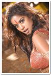 Actress mumaith khan photo 9