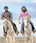 Porali photos 490