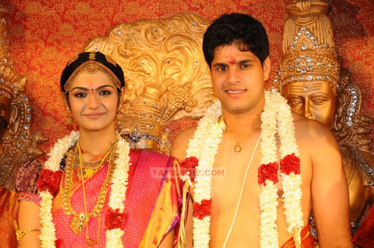 Cricketer aniruddha srikanth wedding reception