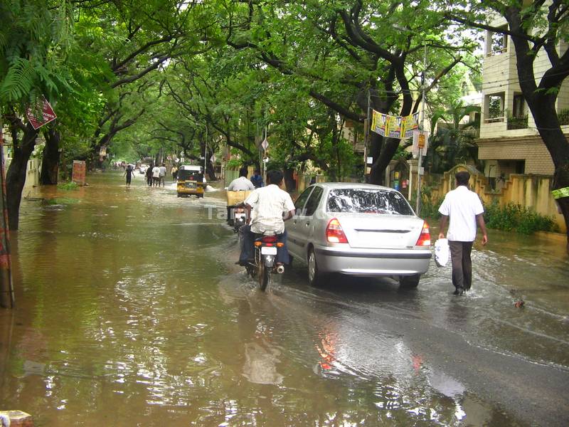Chennai floods 1