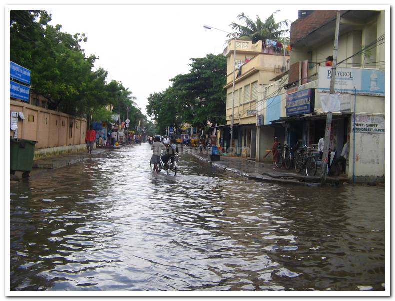 Chennai street1