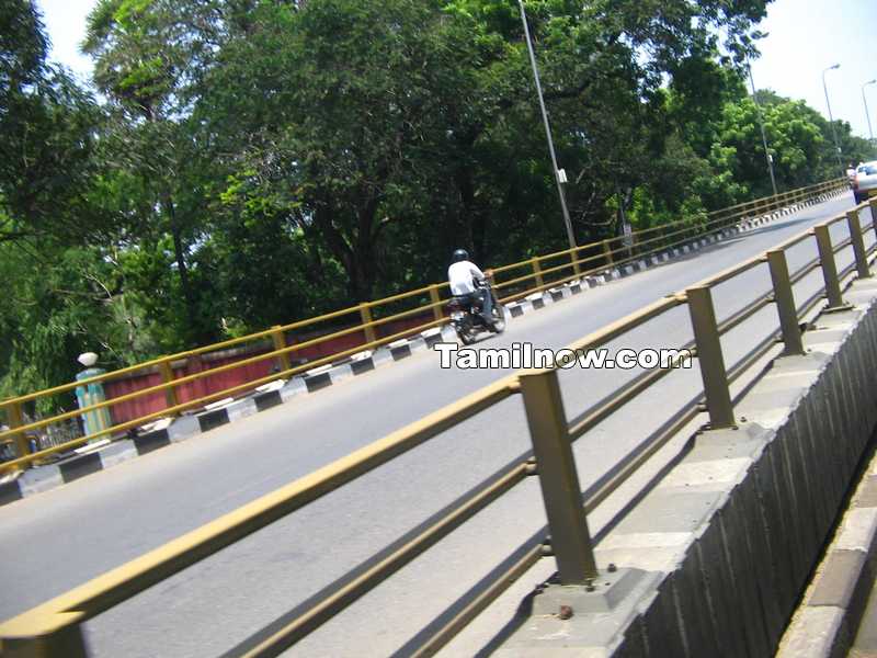 Bridge near iit