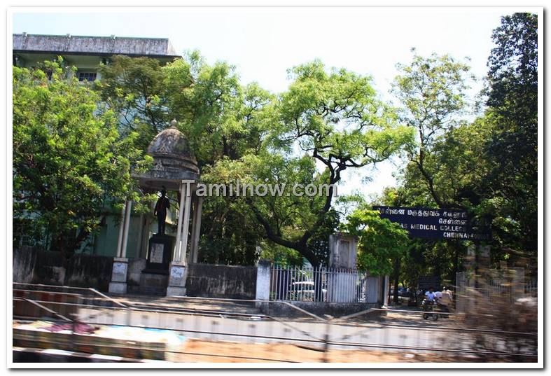 Madras medical college