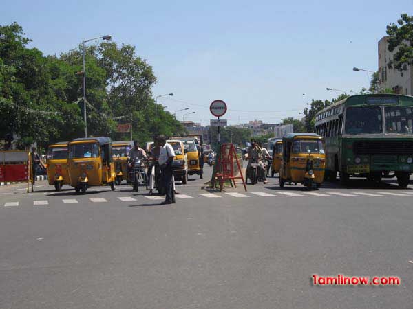 traffic Signal 