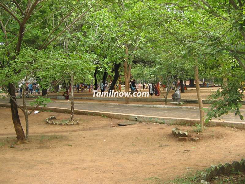 Guindy national park chennai