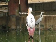 National park guindy