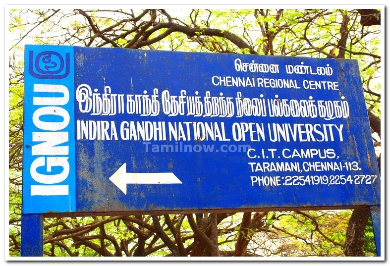 Ignou regional centre taramani 3