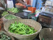 Bajji chilly for sale at koyambedu vegetable market 359