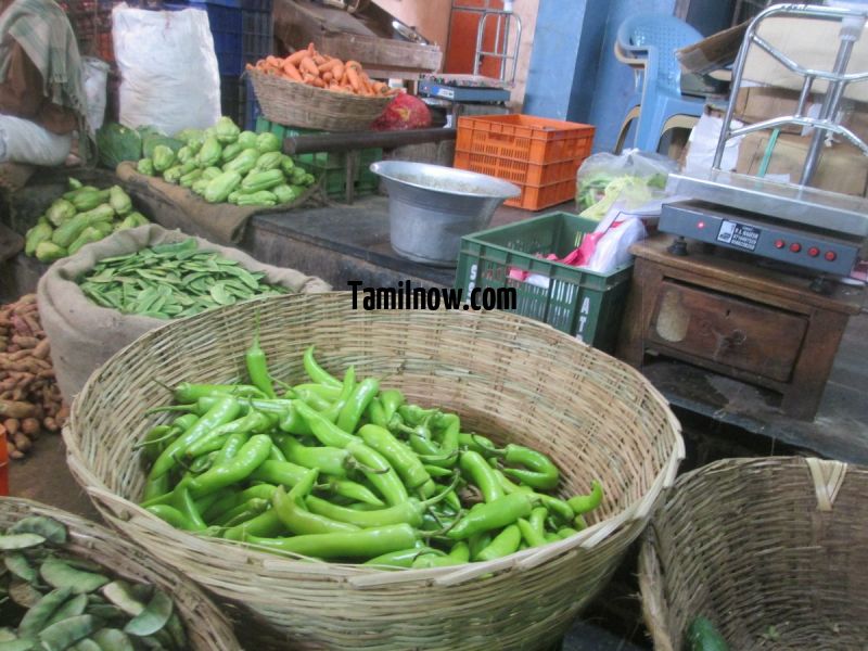 Bajji chilly for sale at koyambedu vegetable market 775