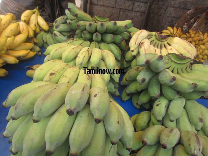 Bananas for sale at koyambedu fruits market 494