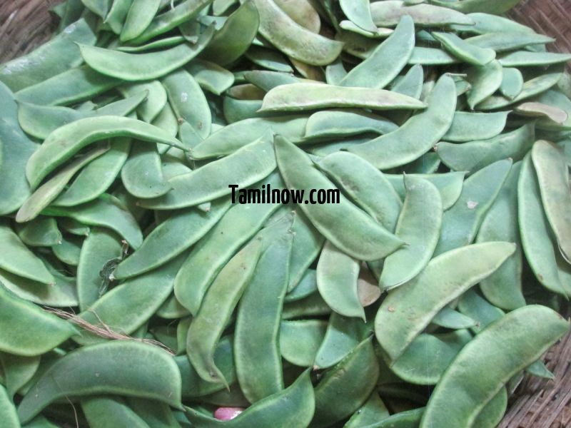 Beans for sale at koyambedu vegetable market 52