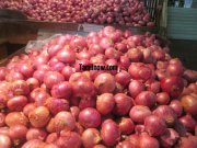 Big onions at koyambedu vegetable market 437