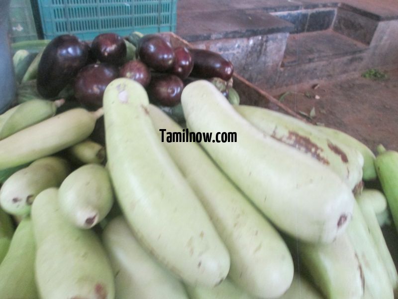 Bottleguard for sale at koyambedu vegetable market 922