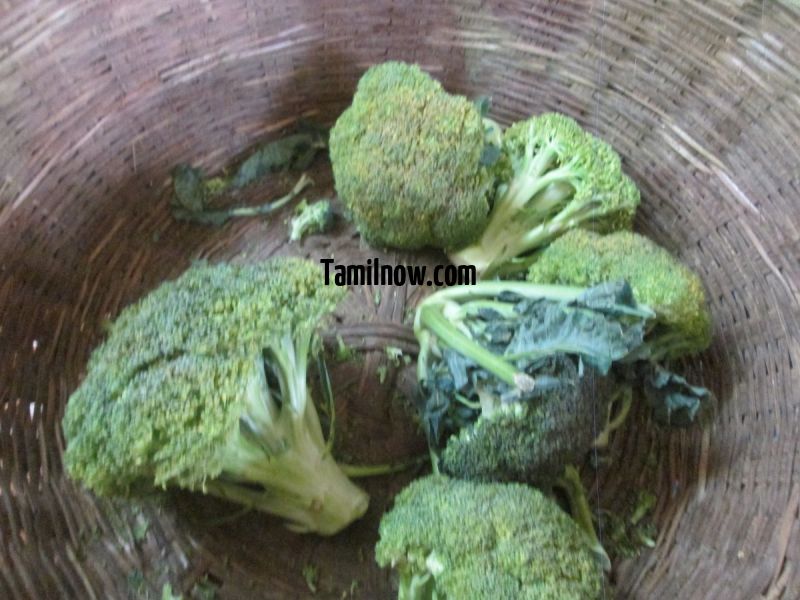 Broccoli for sale at koyambedu vegetable market 552