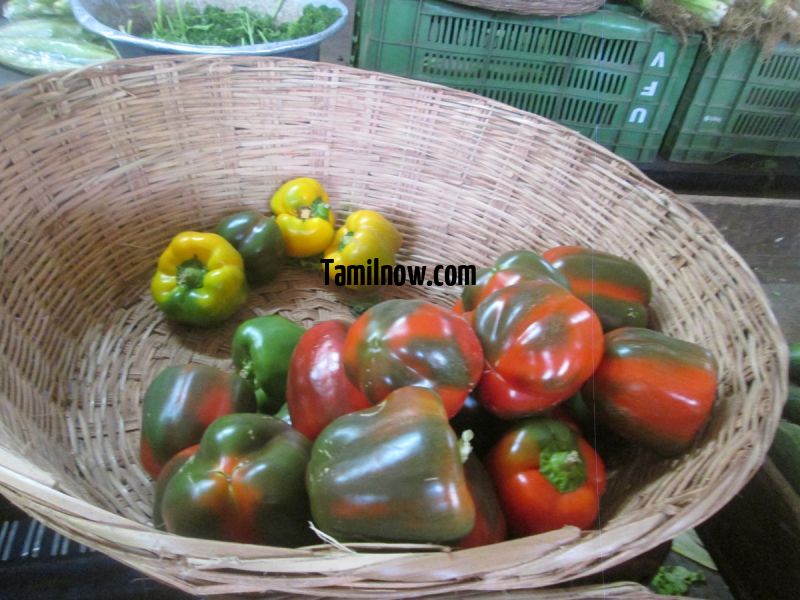 Capsicum for sale at koyambedu vegetable market 516