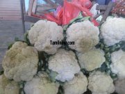 Cauliflower for sale at koyambedu vegetable market 403