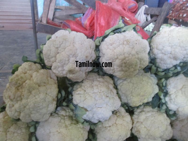 Cauliflower for sale at koyambedu vegetable market 654