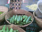Cucumber for sale at koyambedu vegetable market 120