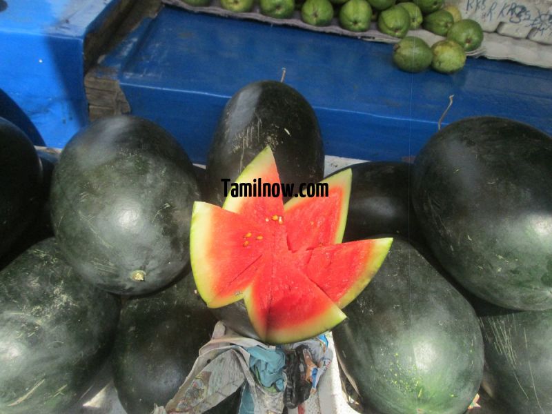 Kesar water melon for sale at koyambedu fruits market 452