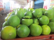 Mosambi for sale at koyambedu fruits market 354