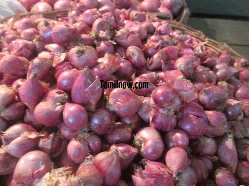 Onions for sale at koyambedu vegetable market 22