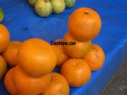 Oranges for sale at koyambedu fruits market 589