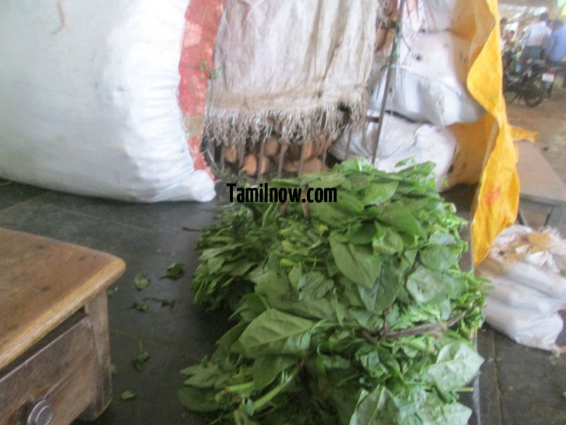 Palak for sale at koyambedu vegetable market 199