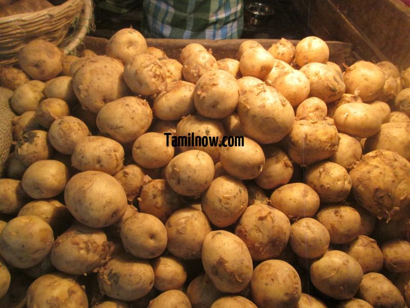 Potato for sale at koyambedu vegetable market 67