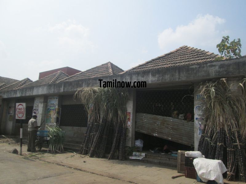 Sugarcane at koyambedu whole sale market 481