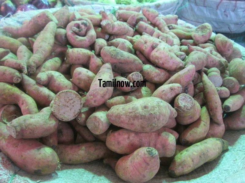 Sweet potato for sale at koyambedu vegetable market 394