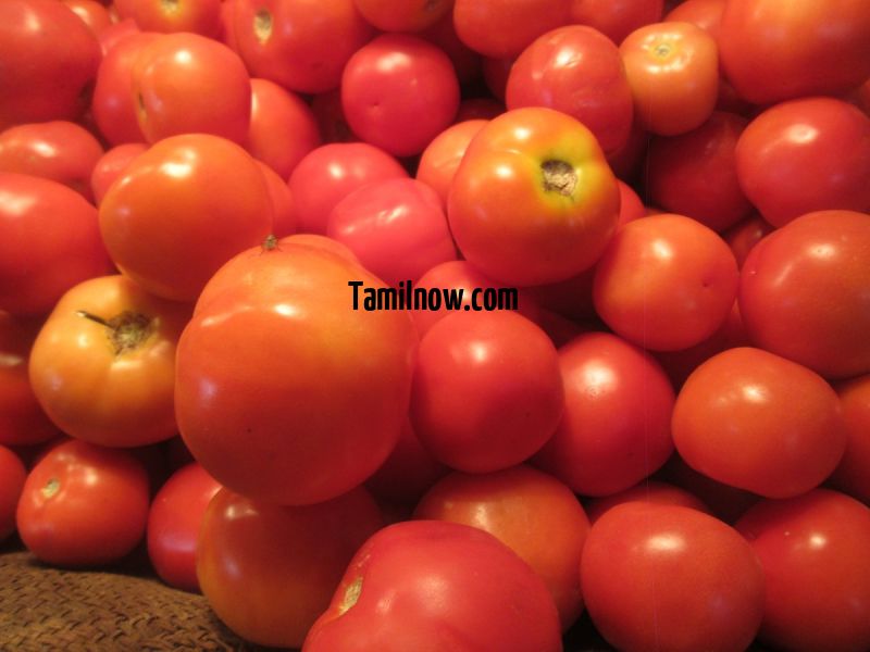 Tomato for sale at koyambedu vegetable market 953