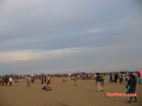 Marina beach 3923