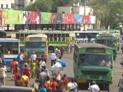 Mtc buses at parrys stand