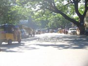 Pondy bazar