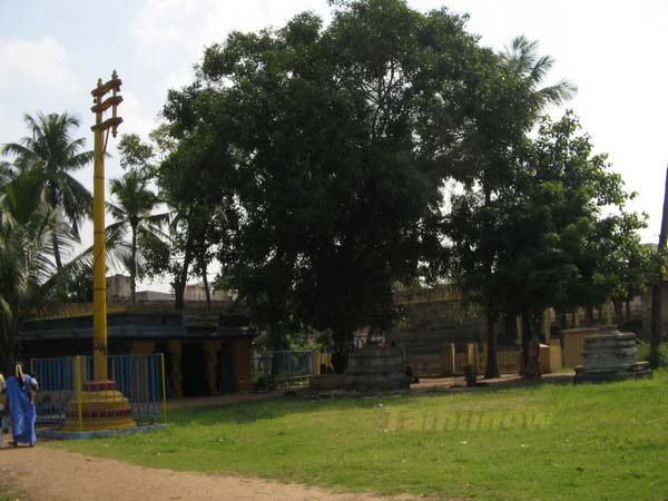 Thiruvotriyur temple 6