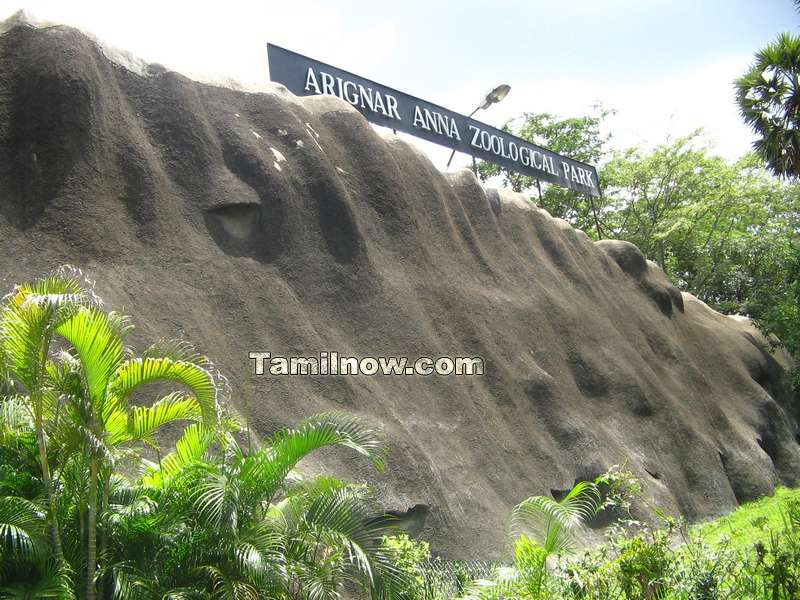 Arinagar anna zoological park 1