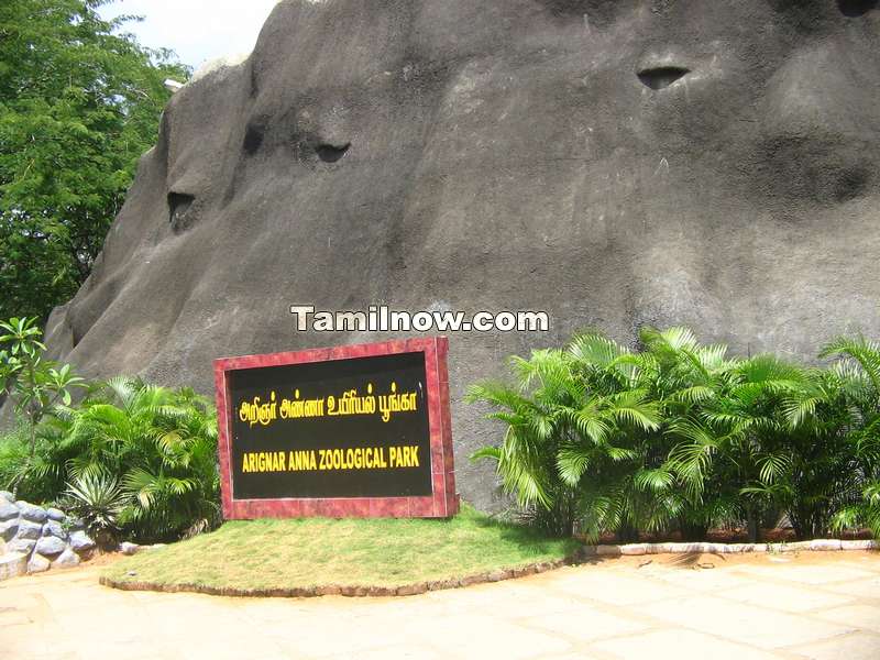 Arinagar anna zoological park 2