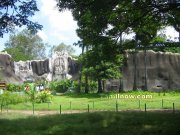 Vandalur Arinagar Anna Zoological Park