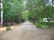 Vandalur zoological park