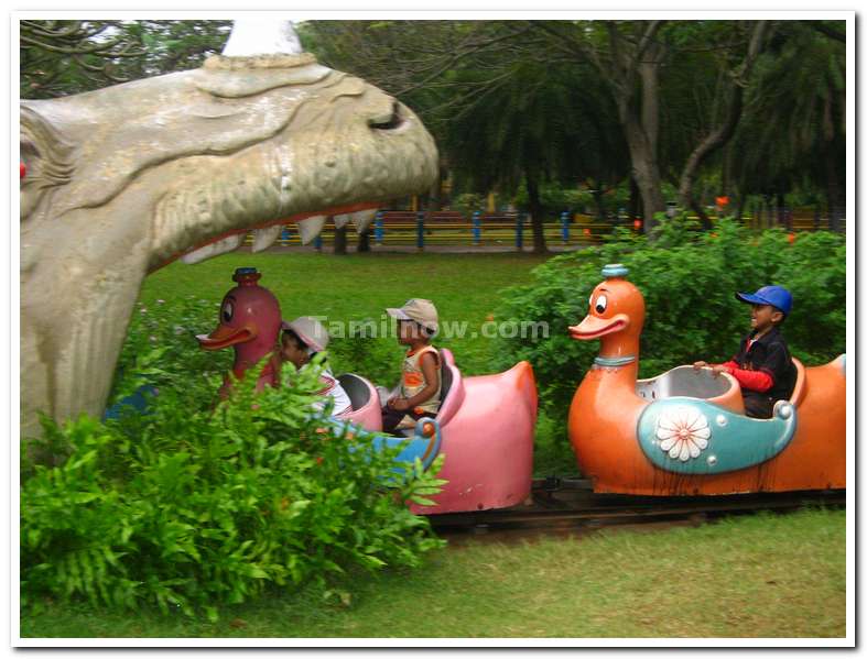 Children riding in baby train