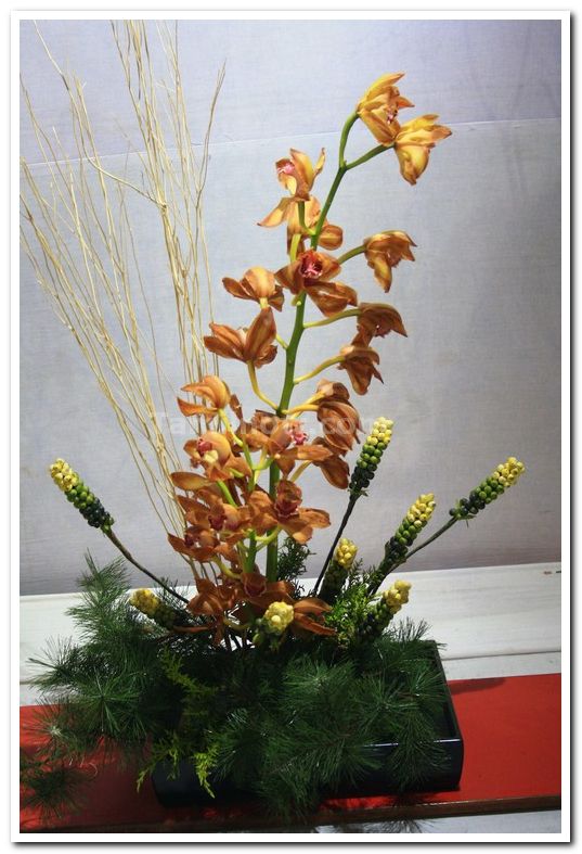 Beautiful flower arrangements stills 4