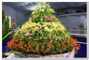 Chennai Flower Show