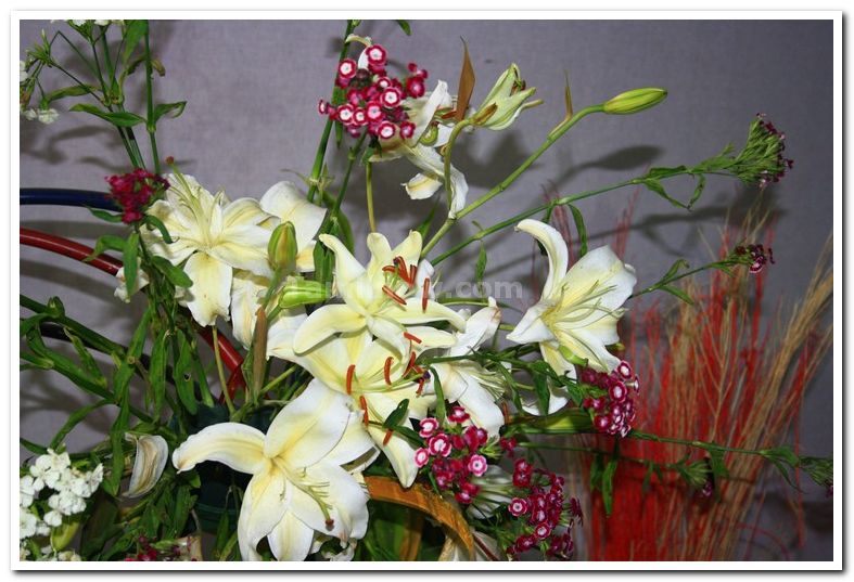 Ikabana flower arrangement