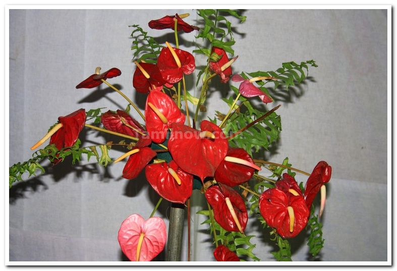 Ikebana flower arrangement 4