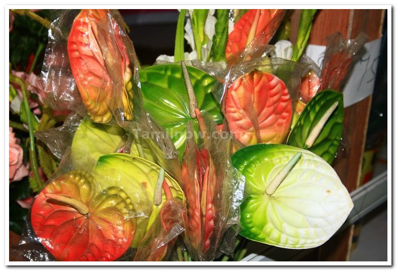 Plastic anthuriums