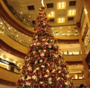 Huge xmas tree