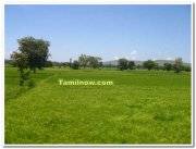 Belgaum fields