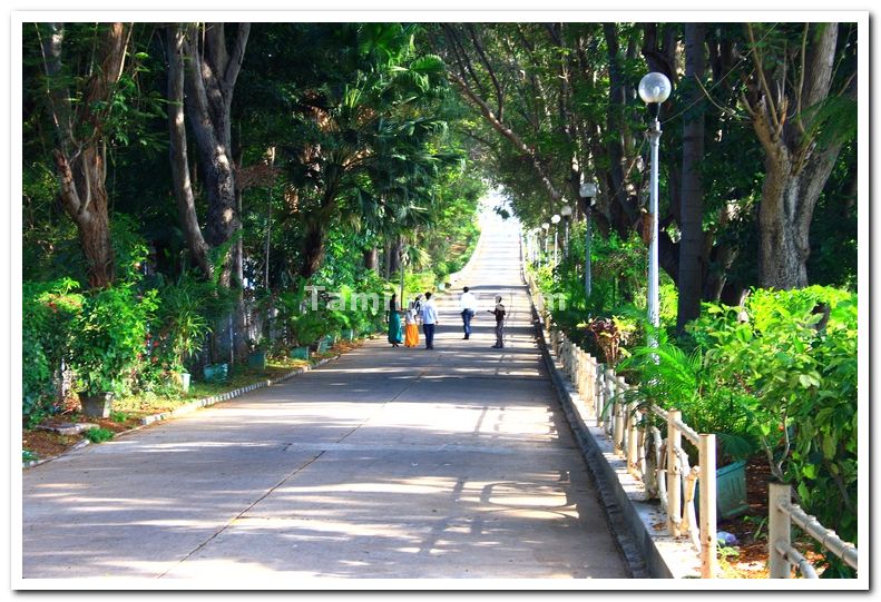 Mysore brindavan gardens 1