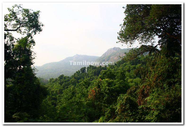 Dudhsagar waterfalls surroundings