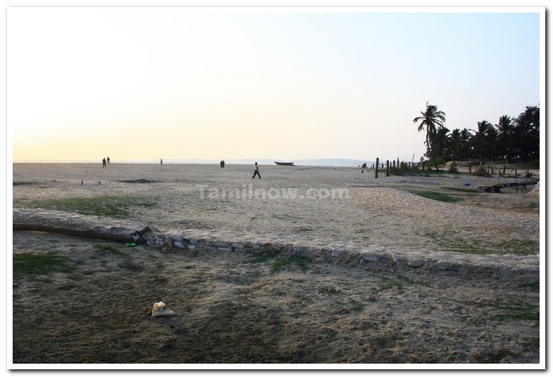 Majorda beach goa